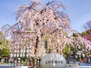 上野公園