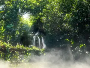 廈門園林植物園