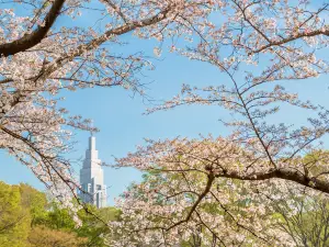 代代木公園
