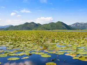 Shkodra Lake