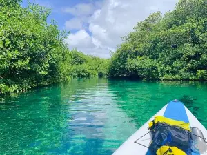 Casa Cenote 灰岩坑
