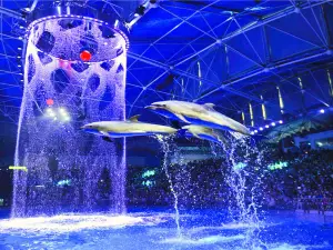 Popular Best Things to Do in Dalian