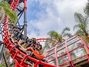 Popular Water Fun Attractions in Taichung