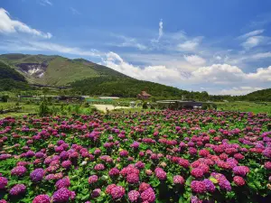 Yangmingshan National Park