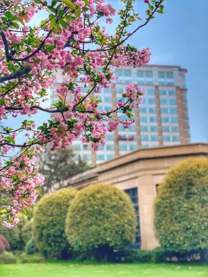 Radisson Collection Hotel,Xing Guo Shanghai Hotels near Shanghai South Railway Station