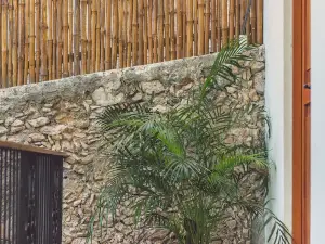 TreeHouse Boutique Hotel - Adults Only