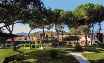 Is Morus Relais