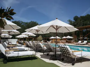 Top 6 Scenic Hotels in Los Angeles
