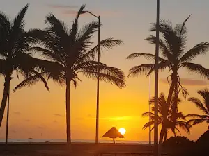 La jarochita raspados