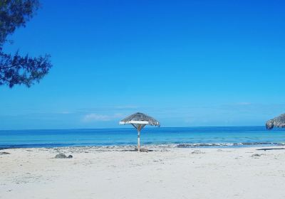 Burwood public beach