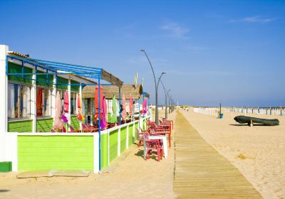Monte Gordo
