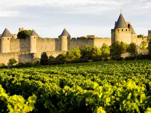 Château et des remparts de la cité de Carcassonne