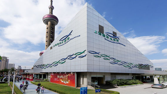 Shanghai
