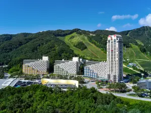 휘닉스 리조트 평창
