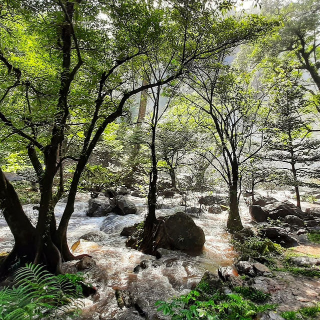 หนีร้อนไปโดดน้ำ เล่นน้ำกลางป่าใหญ่ที่น้ำตกคลองลาน