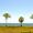 Noah012_Brown