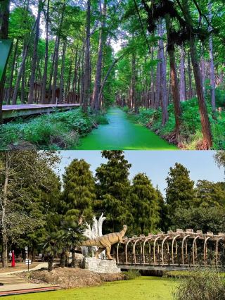 Back from Gaoyou, a trip with no regrets.