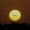lyrielle_1730