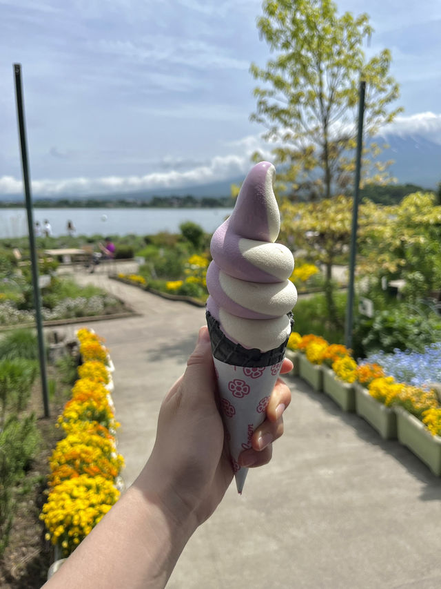 가와구치호를 꽃과 함께 조망하고 싶다면 여기!💐