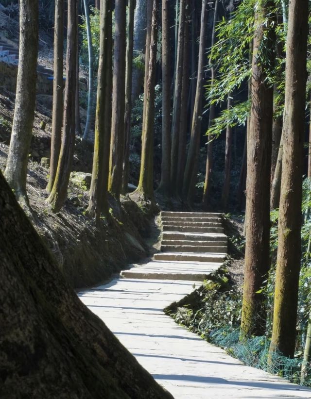 # 峨眉山旅遊超強攻略，一篇就夠！