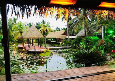 Over-Water Night Show & Dinner